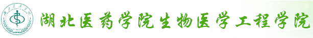 英国365集团
